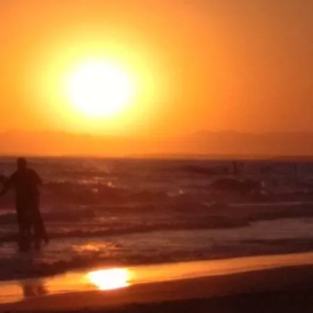 Sunshine At Beach. Apartment Side